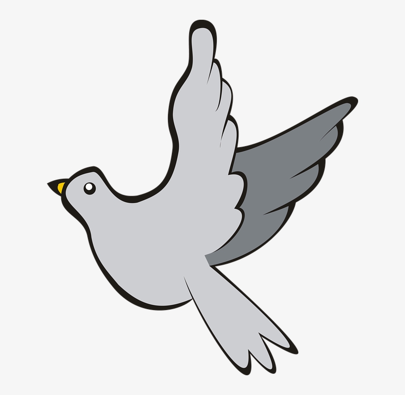 Free Photo Adobe Sky Bird Flight Pigeon, transparent png