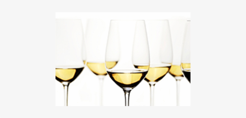 Cinquecento Vini Bianchi Dal Mondo - Hughes Natasha, transparent png