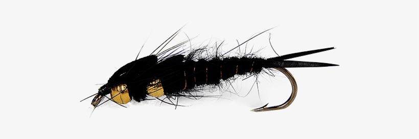 Double Tung-stonefly - Library, transparent png