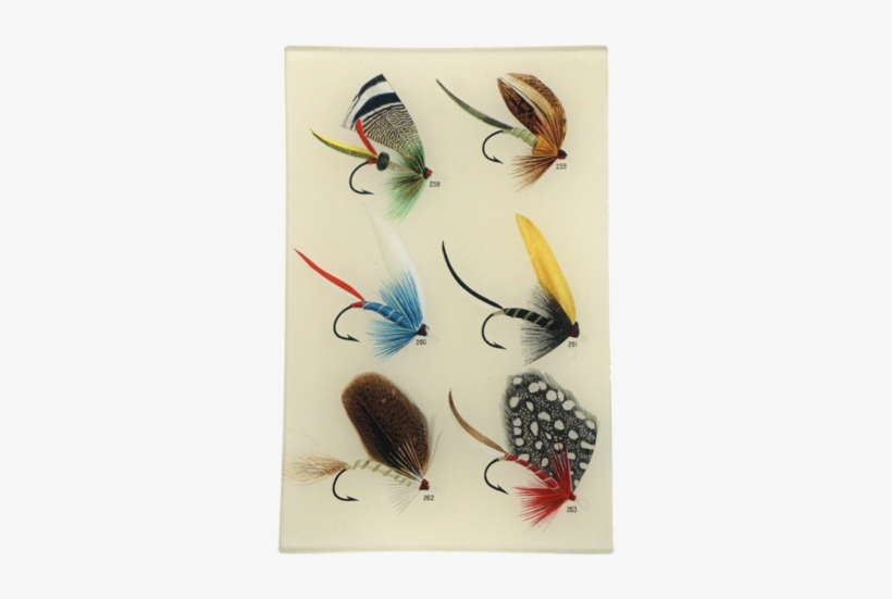 Bass Flies - Mary Orvis Marbury Flies, transparent png