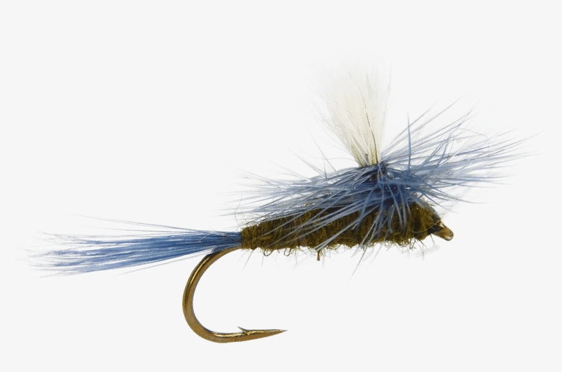Blue Winged Olive Parachute Fly, Fly Fishing Flies, - Fishing Fly Flies Transparent, transparent png