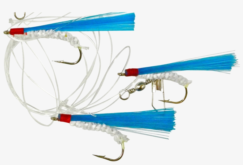 Shrimp, transparent png