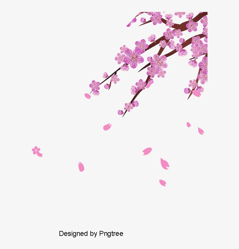 Vector Cherry, Vector, Cherry Blossoms, Flower Png - Cherry Blossom, transparent png
