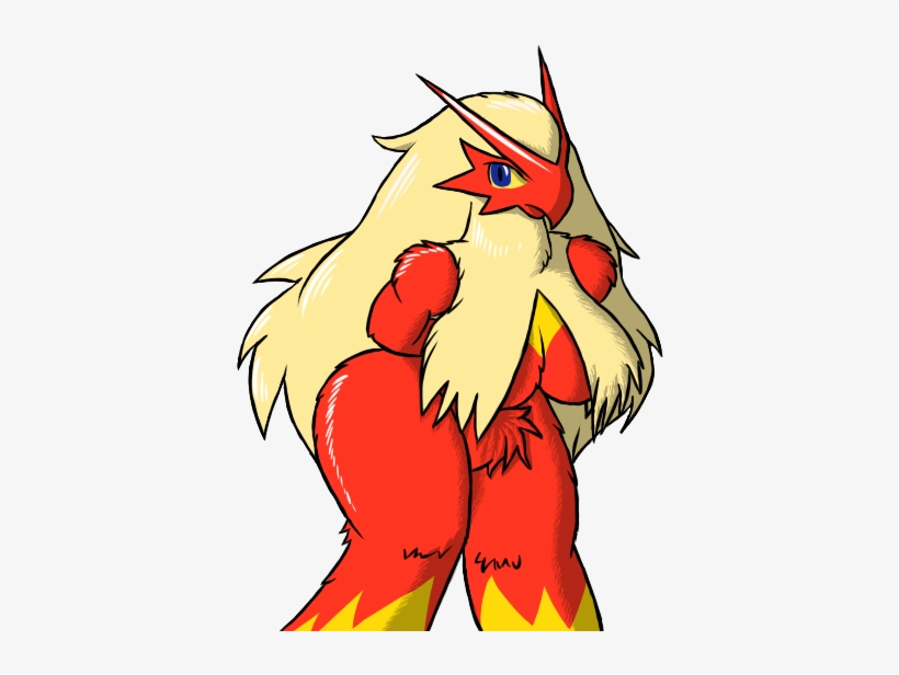 Fuzzyspah Blaziken - Cartoon, transparent png