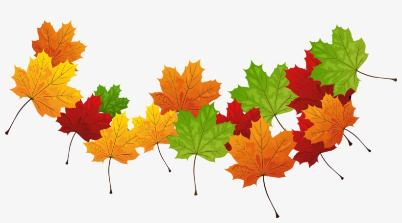Free Autumn Transparent Png, transparent png