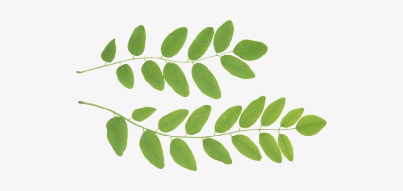 Translate - Fortællinger Om Relationspsykologi I Praksis: I Praksis, transparent png