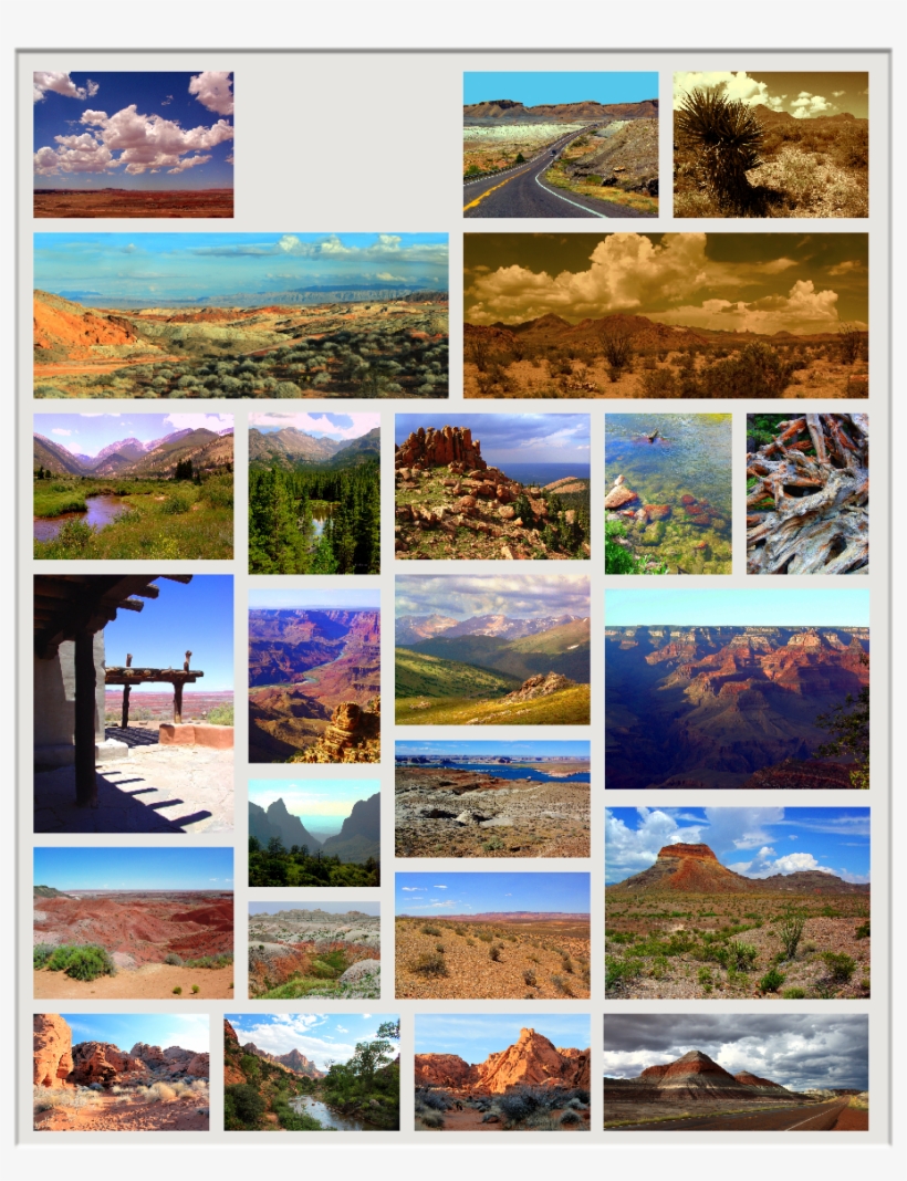 Wp1bd7c1cf - Photograph, transparent png