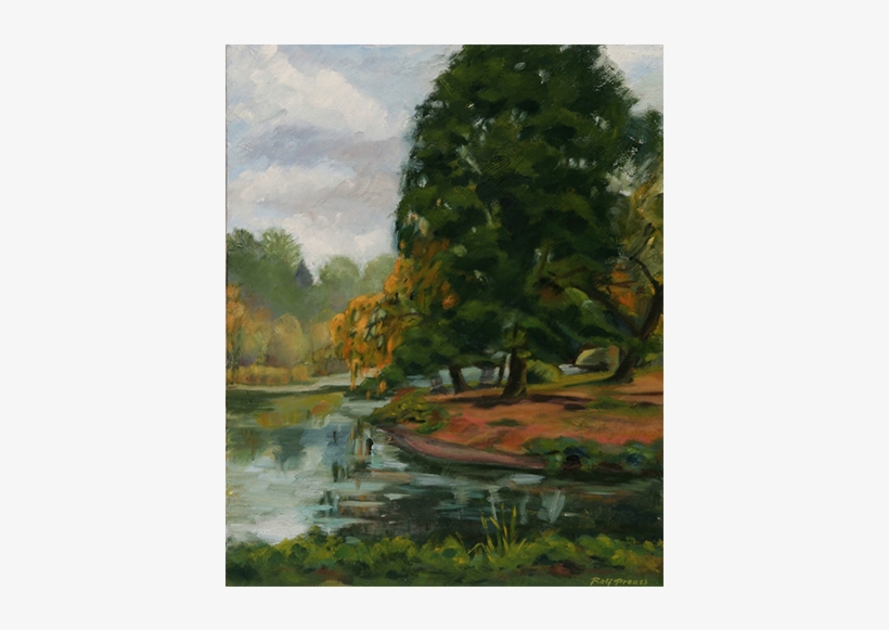 Slideshow Landscapes Pnw Arboretum1 - Larch, transparent png