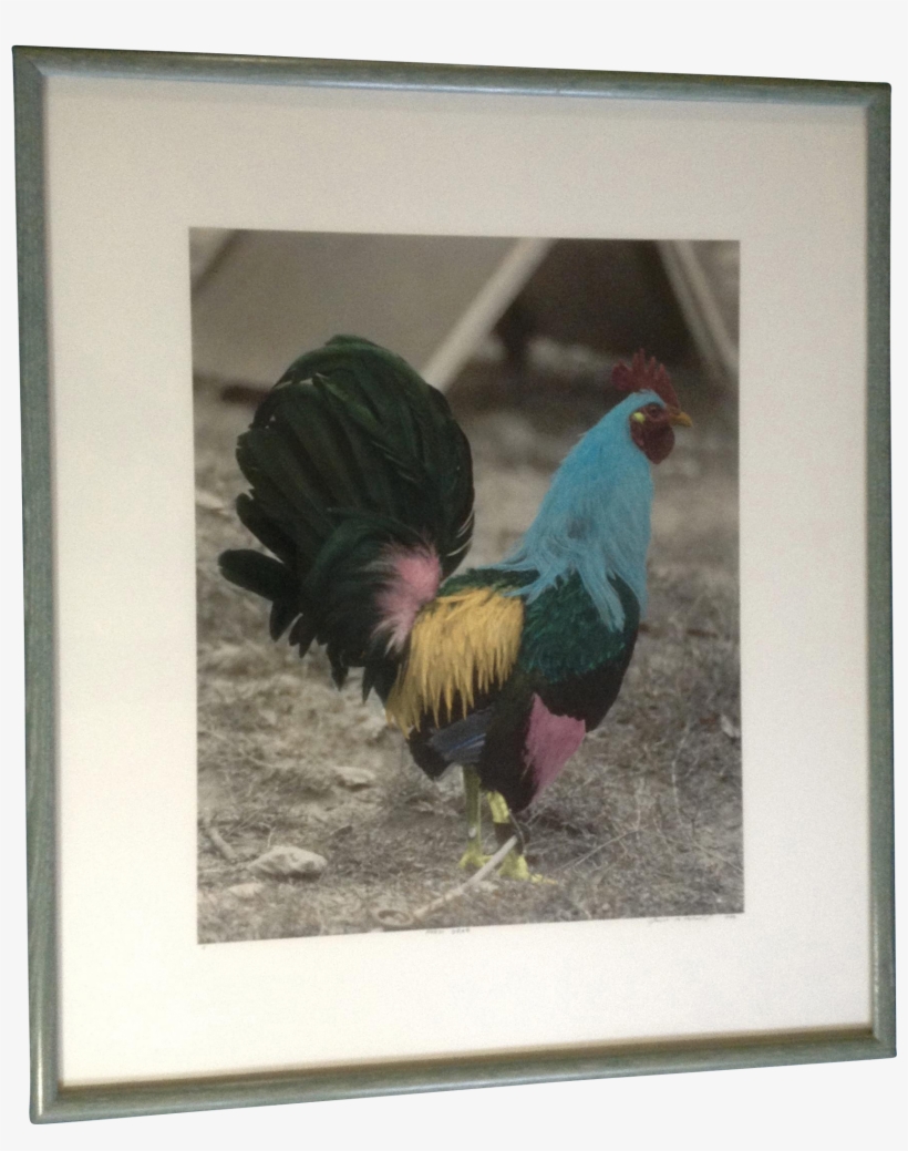 James B Bissell Blue Rooster Color Enhanced Photo Titled - Picture Frame, transparent png