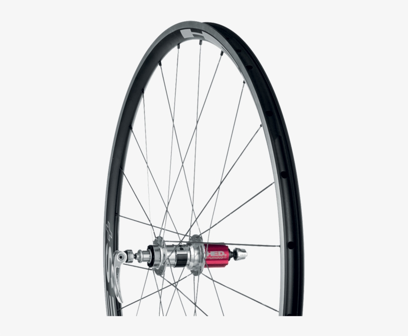 Hed Stinger3 Clincher, transparent png