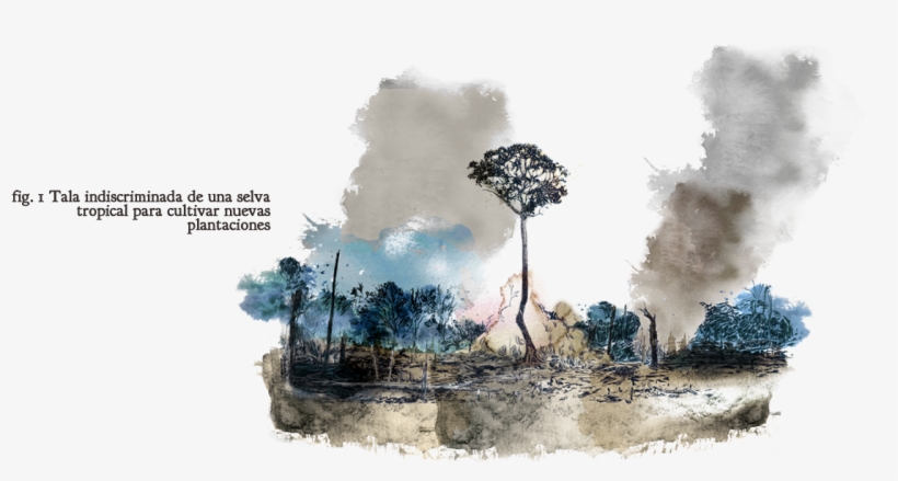 A La Industria Europea E Los Biocombustibles - Forest, transparent png
