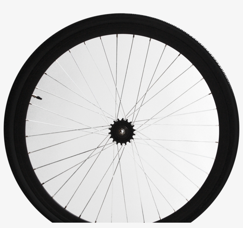 Learn About Bicycle Safety - Bicycle Tires Graphics Transparent, transparent png
