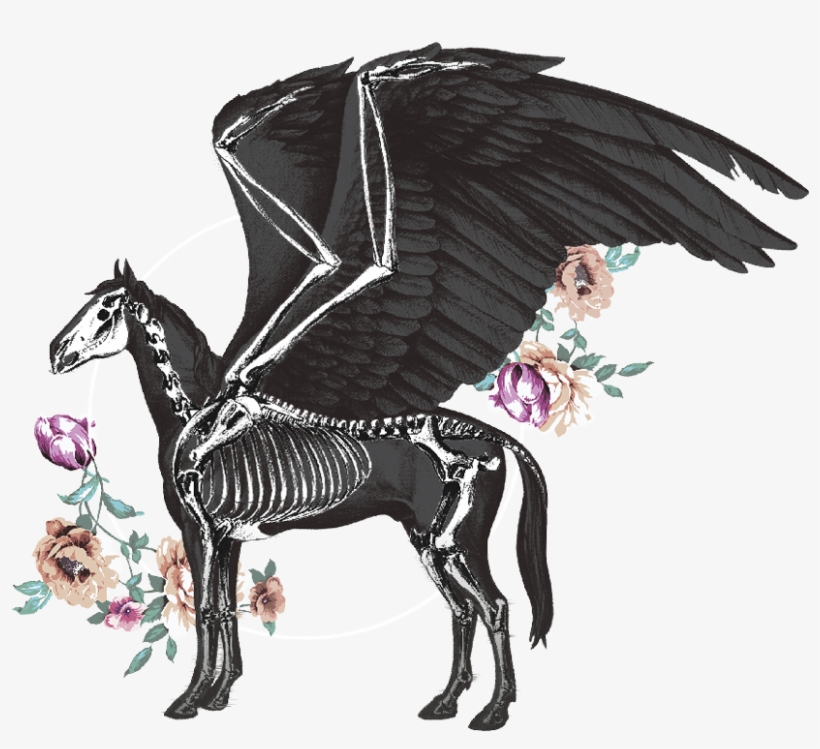 Pegasus Pale Ale - Pegasus, transparent png