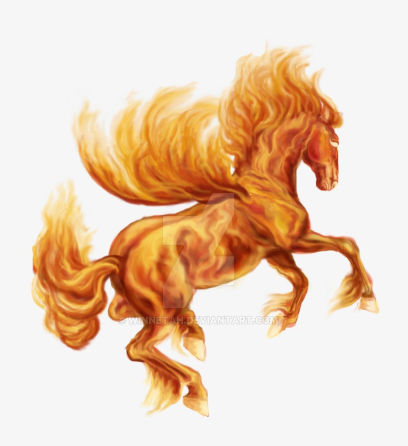 Fire Pegasus By Winnetah On Deviantart Jpg Black And - Fire Horse Hd Png, transparent png