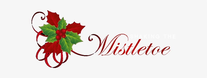 It's Sunday, November 27th, The First Day Of Advent - Beauty Pageant, transparent png