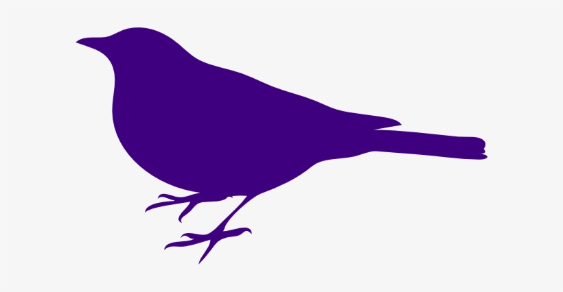 Original Png Clip Art File Parakeet Svg Images Downloading, transparent png