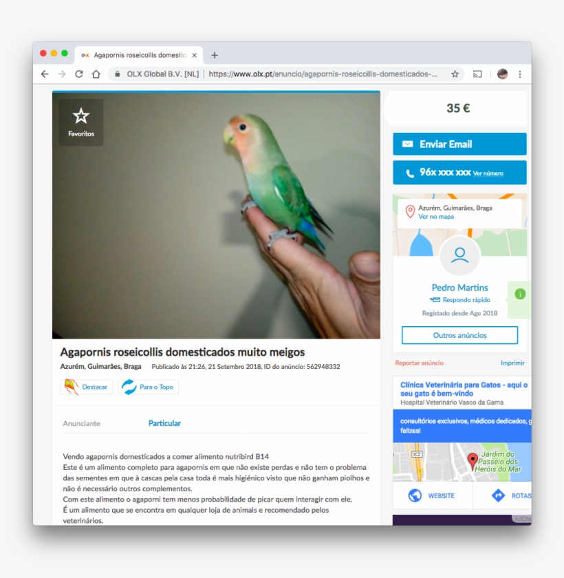 Is A *type* Of Parrot It Just Does Not *talk* Or Do - Budgie, transparent png