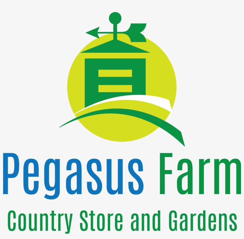 Located At Pegasus Farm In Hartville, Ohio, The Country - Critical Library Pedagogy Handbook, transparent png