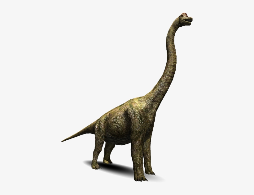 Download Transparent Brachiosaurus Brachiosauro Png PNGkit