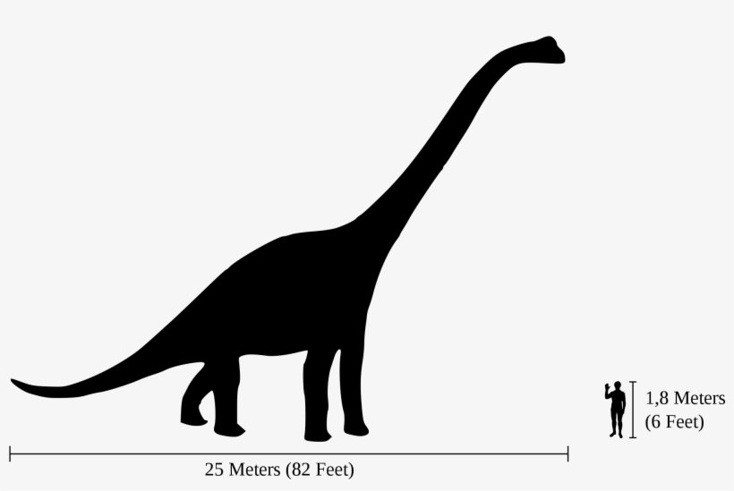 Open - Brachiosaurus Vs Human, transparent png