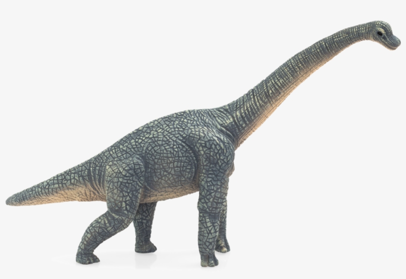 Grey Paint Version, transparent png