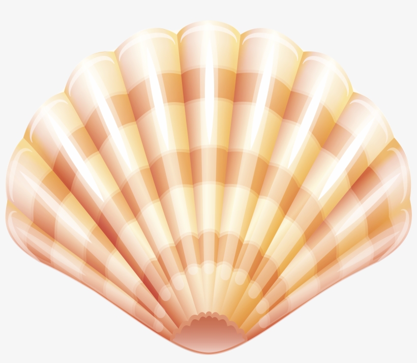 Seafood Lobster Shellfish Mussel Crab Sea Shell, transparent png