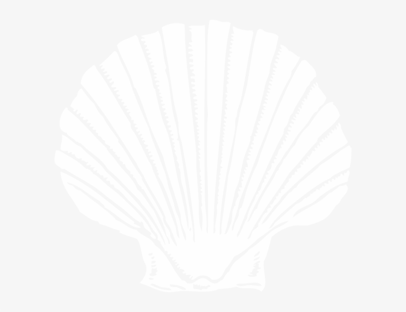 Transparent Sea Shell Clip Art, transparent png