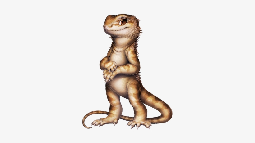 111 20 Bearded Dragon - Bearded Dragon Png, transparent png