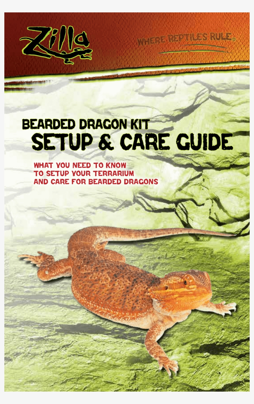 Bearded Dragon Kit Setup & Care Guide Pdf Zilla Floating Basking