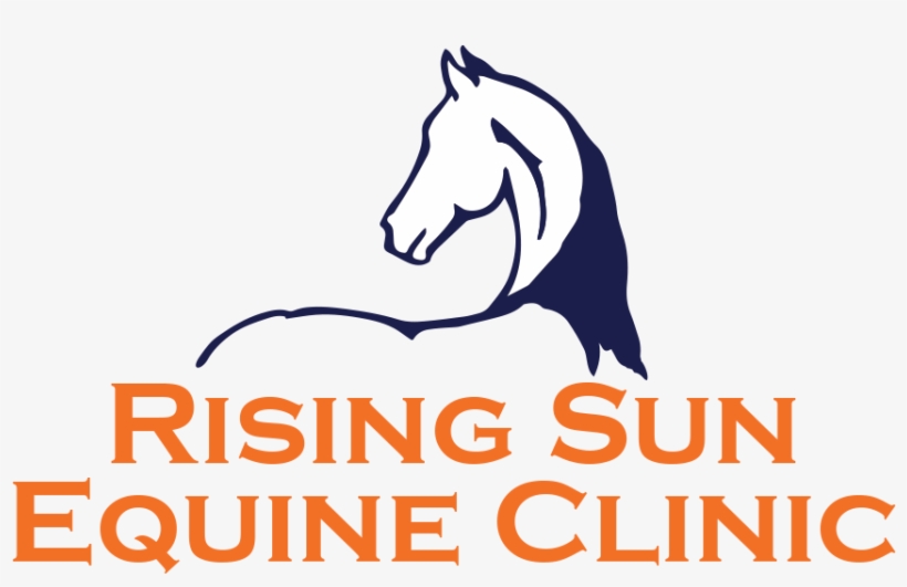 Equine Acupuncture - Intermountain Christian School Logo, transparent png