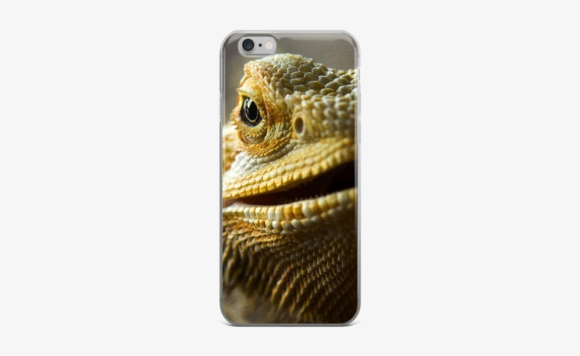 Dragon Pet - Bearded Dragons, transparent png