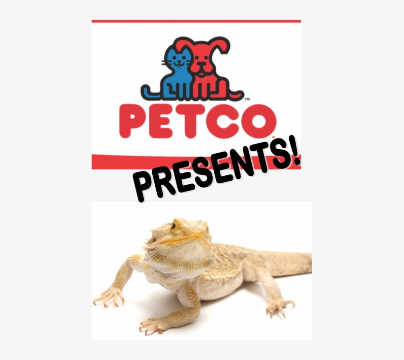 Bearded Dragon, transparent png
