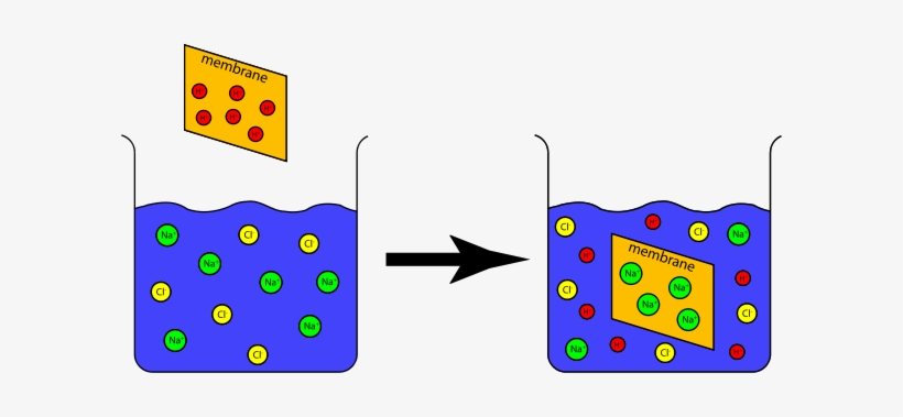 Ion Exchange Capacity Experiment Clipart Png, transparent png