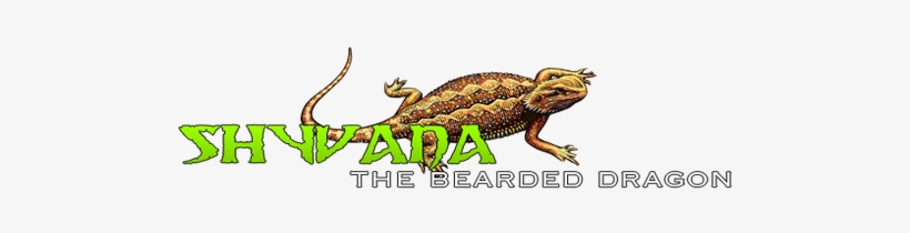 My Bearded Dragon Shyvana - Bearded Dragon Animation, transparent png
