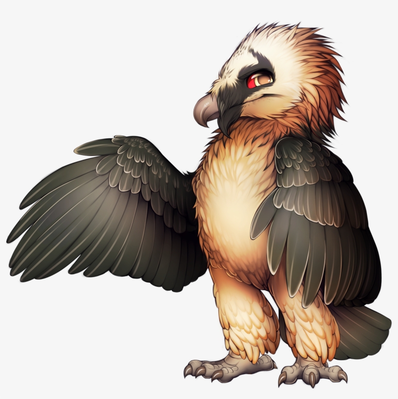 Bird Of Prey Bearded Vulture Egyptian Vulture - Bearded Vulture Png, transparent png