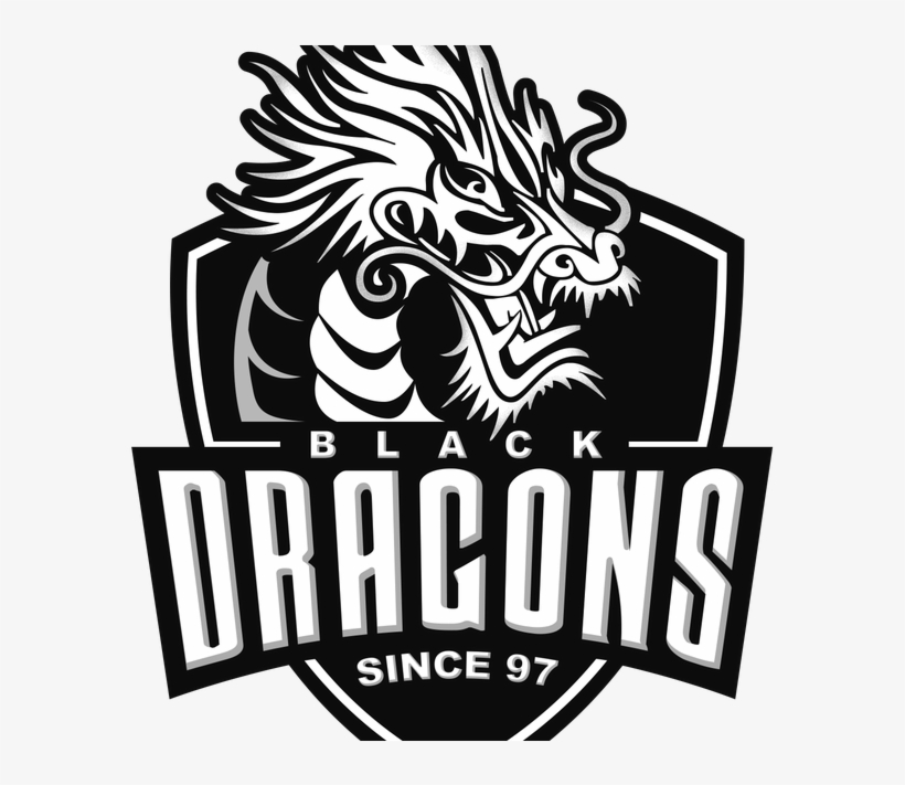 Black Dragons E-sports Revela Equipe De Overwatch Reformulada - Black Dragons E Sports, transparent png