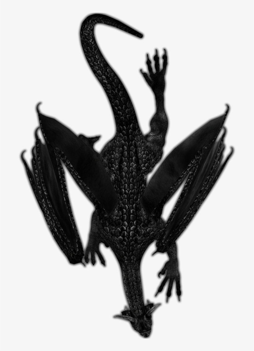 24 Mar 2009 - Dundjinni Dragon, transparent png