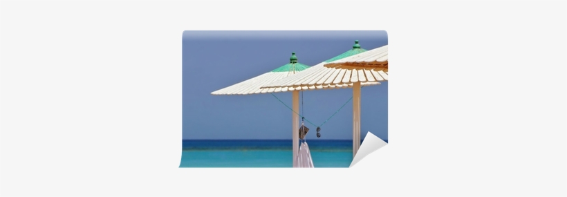 Beach, transparent png