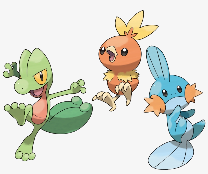 Treecko Torchic Mudkip Group Layersremoved - Torchic Treeko And Mudkip, transparent png