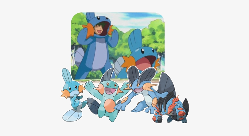 Pokemon Of The Week - Mudkip Sun And Moon, transparent png