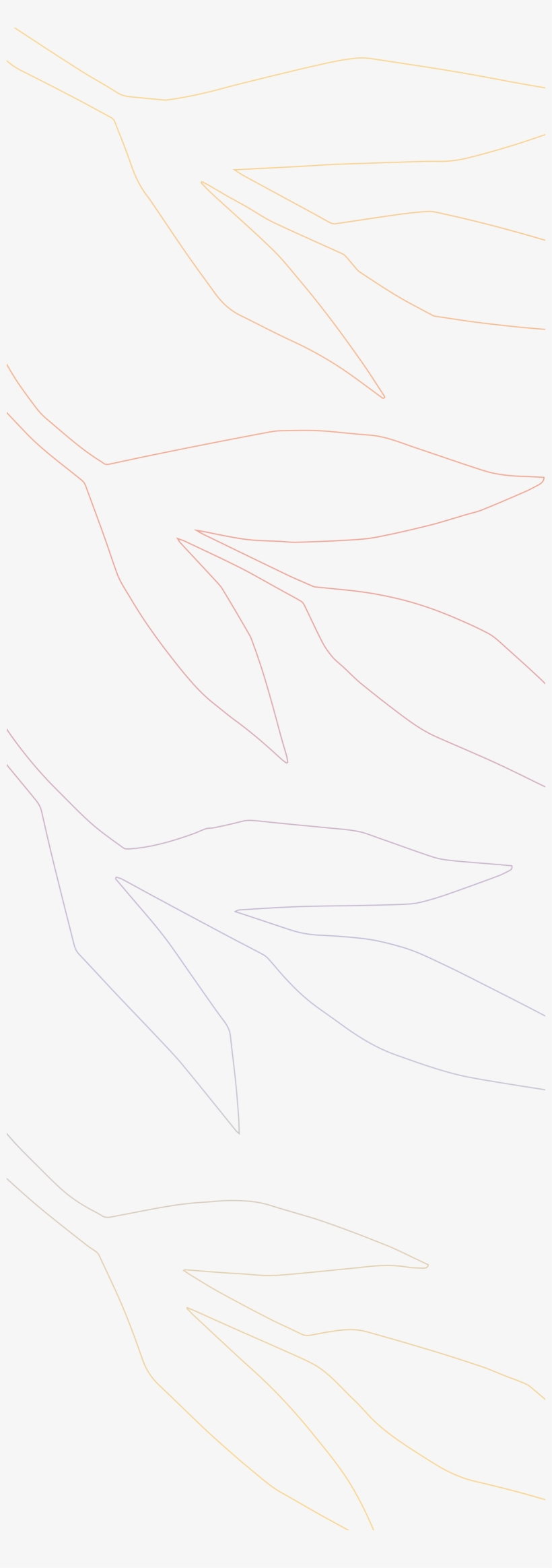 Drawing, transparent png