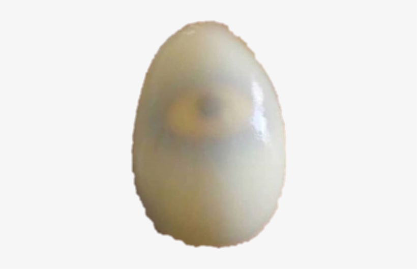 Report Abuse - Fruit, transparent png
