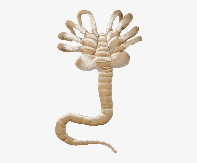 Alien Facehugger Prop Licensed - Alien Facehugger Plush, transparent png