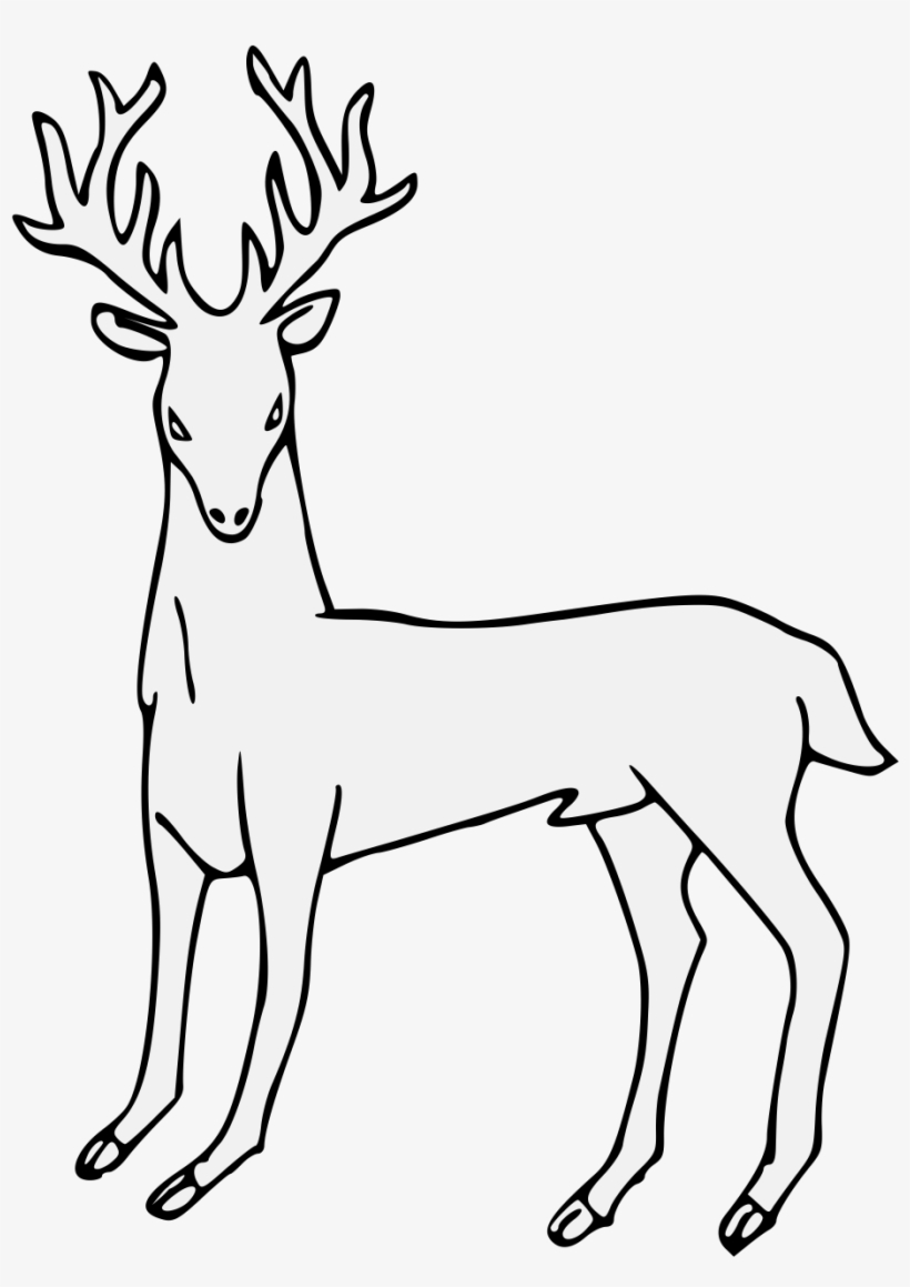 Details, Png - Library, transparent png