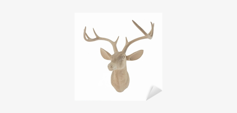 Deer, transparent png