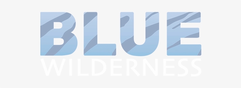 Blue Wilderness Blue Wilderness - Blue Star Donuts Logo, transparent png