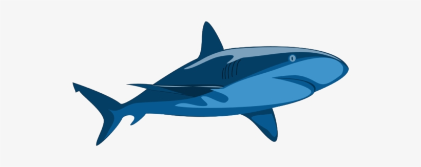 Shark Pure - Vector Clip Art Shark, transparent png
