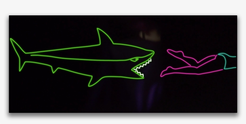 Share - Cartilaginous Fish, transparent png
