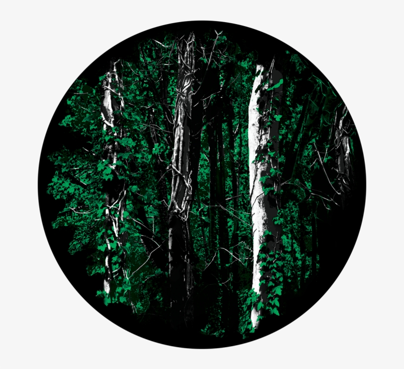 Backwoods, transparent png