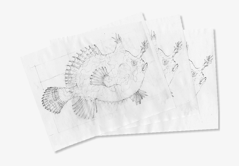 I Sandwich Each Copy With A Piece Of Color Paper And - Sketch, transparent png